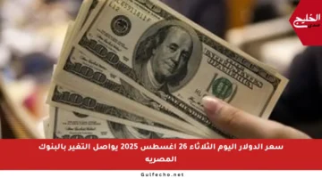 سعر الدولار اليوم الثلاثاء 26 أغسطس 2025 يواصل التغير بالبنوك المصرية